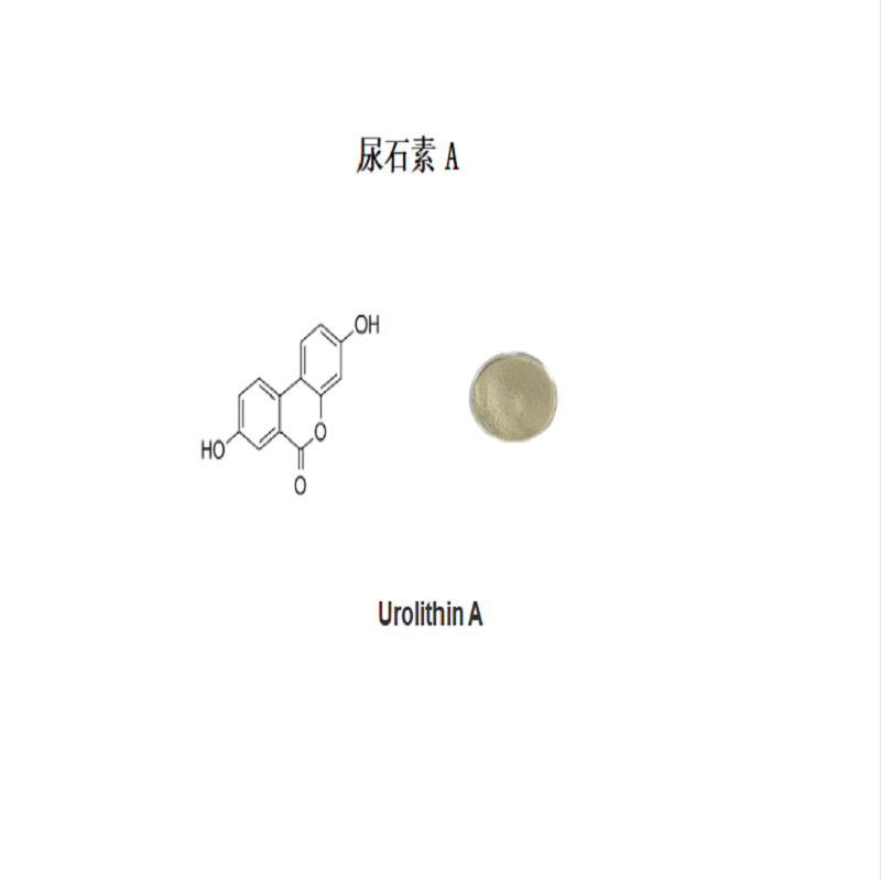 Urolithin A尿石素A CAS号1143-70-0